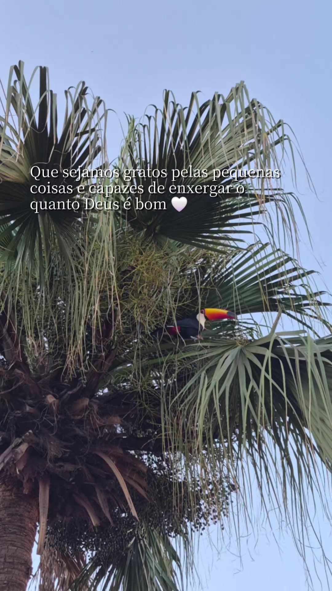 @Stella Granado Santa