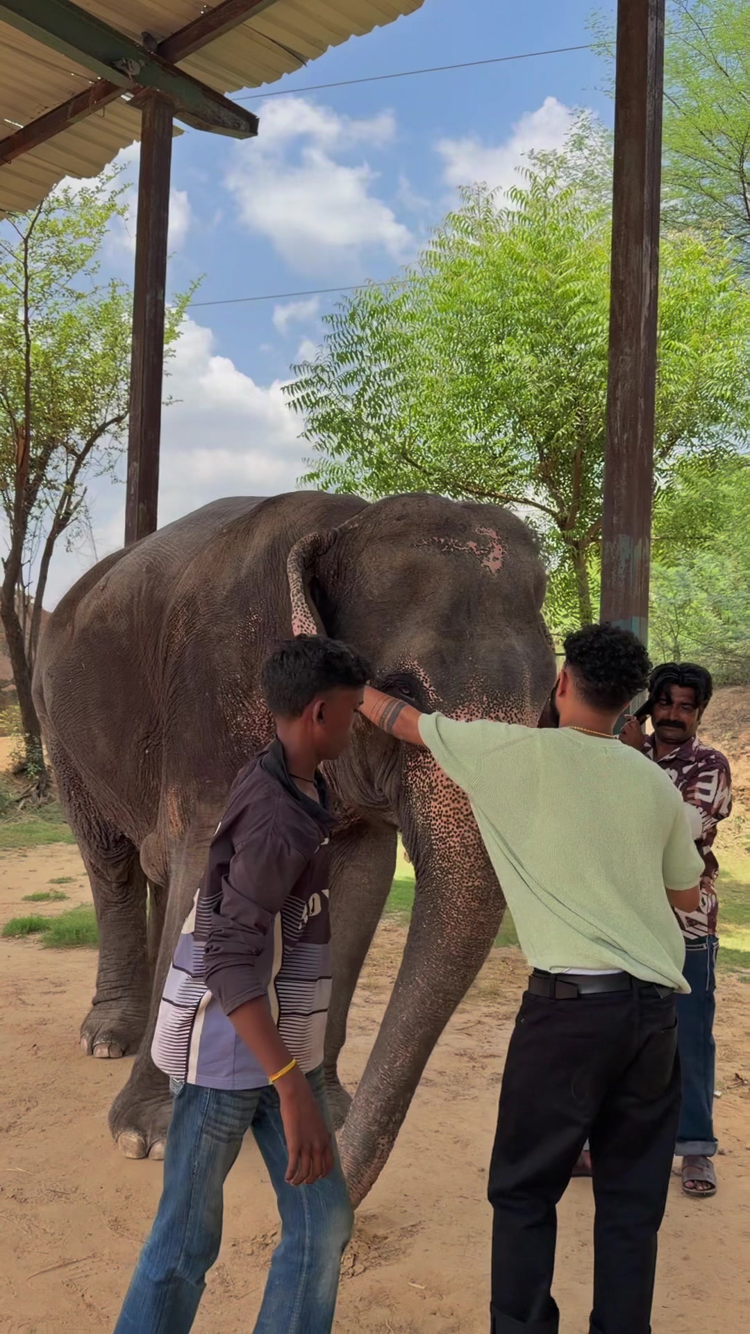 @Abrilo_ኦርቶዶክስ_