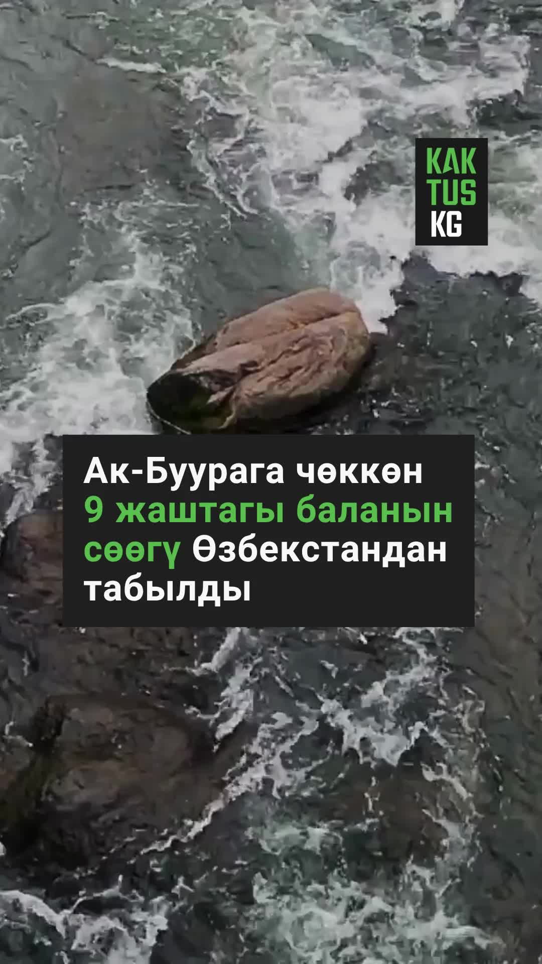 @Kaktus KG