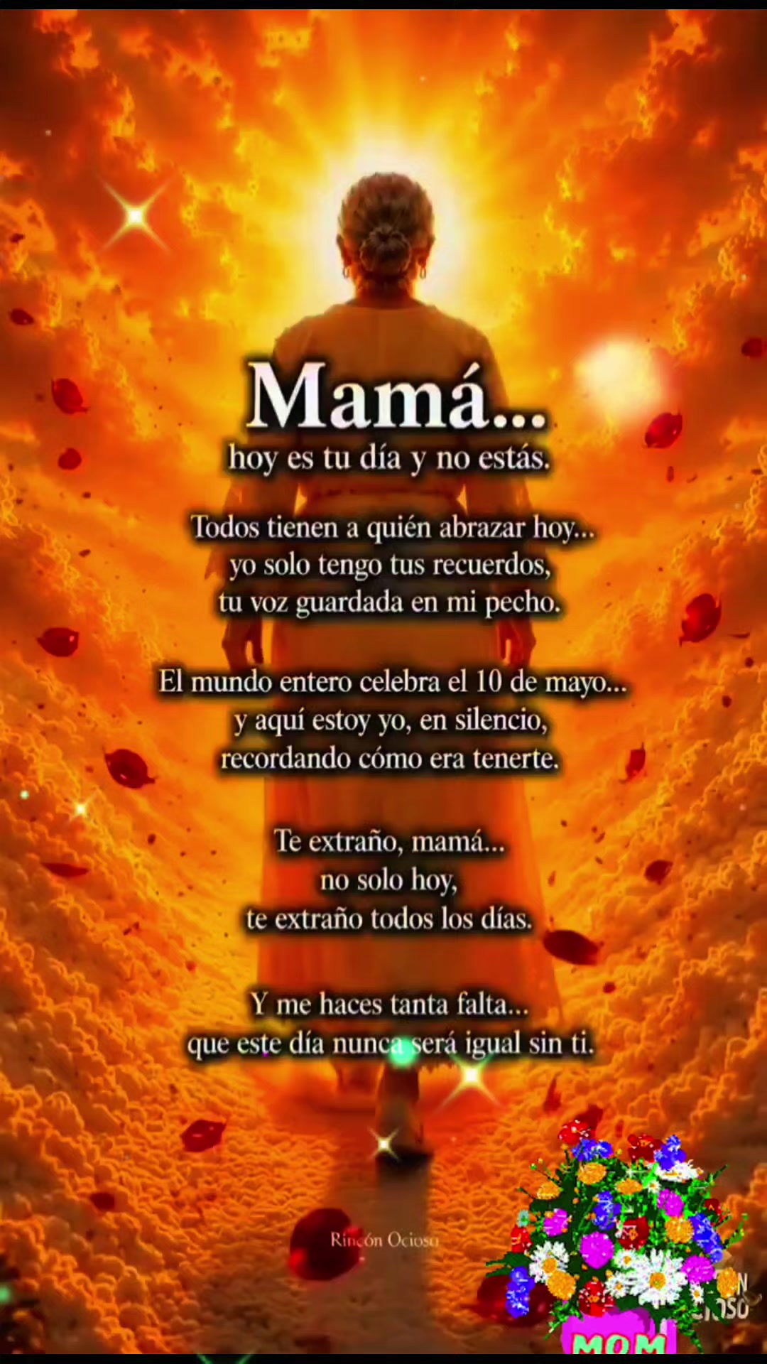 @Vidal £§kot