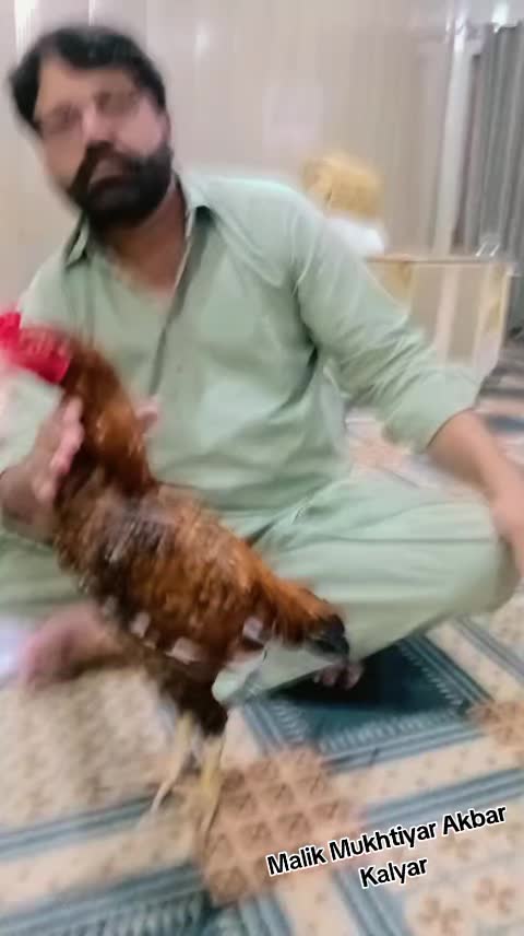 @ملک عاصم سندیلہ