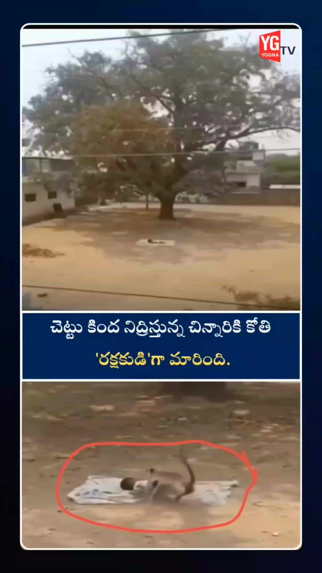 @జి శ్రీనివాసరావు పాలకొల్లు
