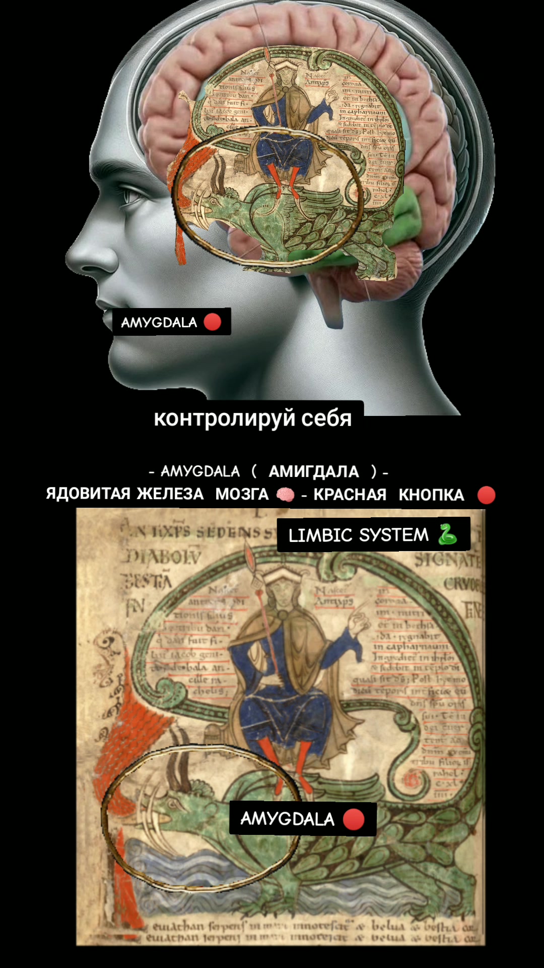 @ОЛЬГА ВЕЛЖИЧ