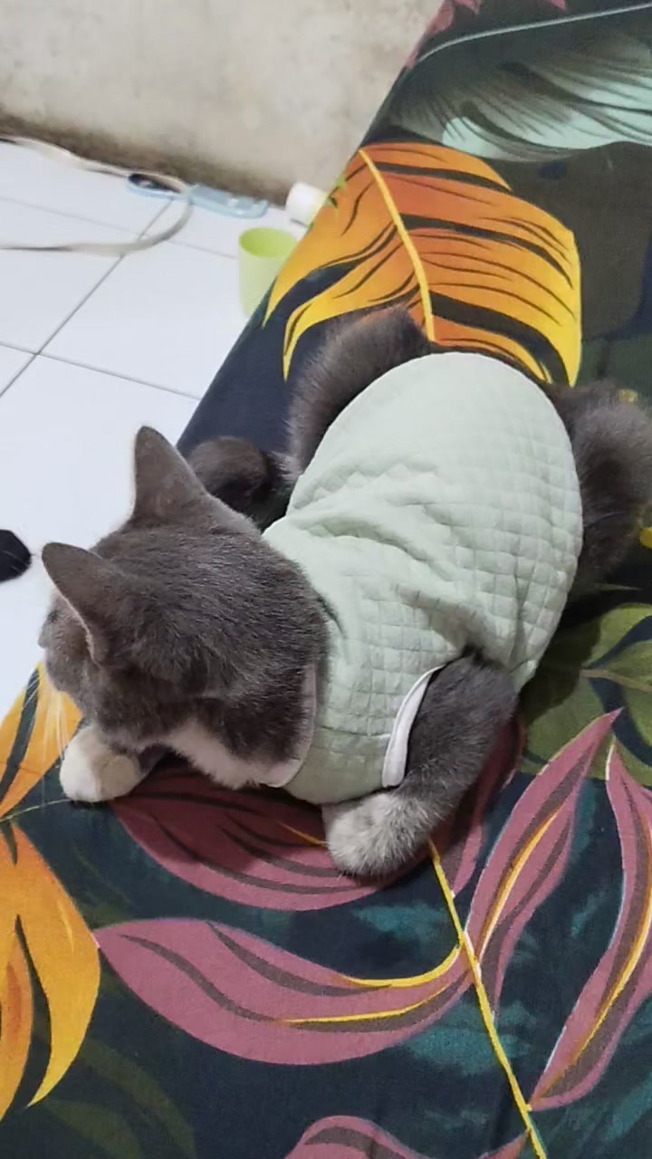 @Cahaya 9799_1