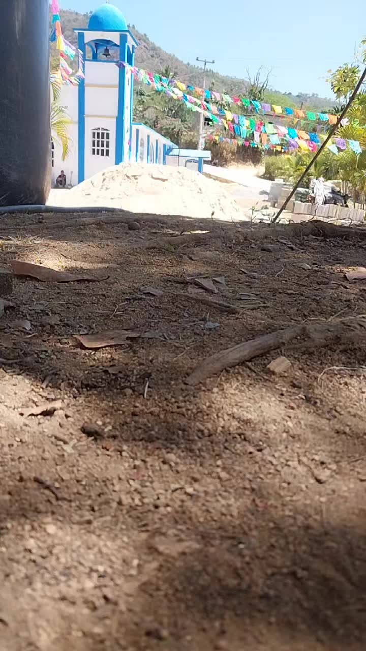 @Marcelo Neri