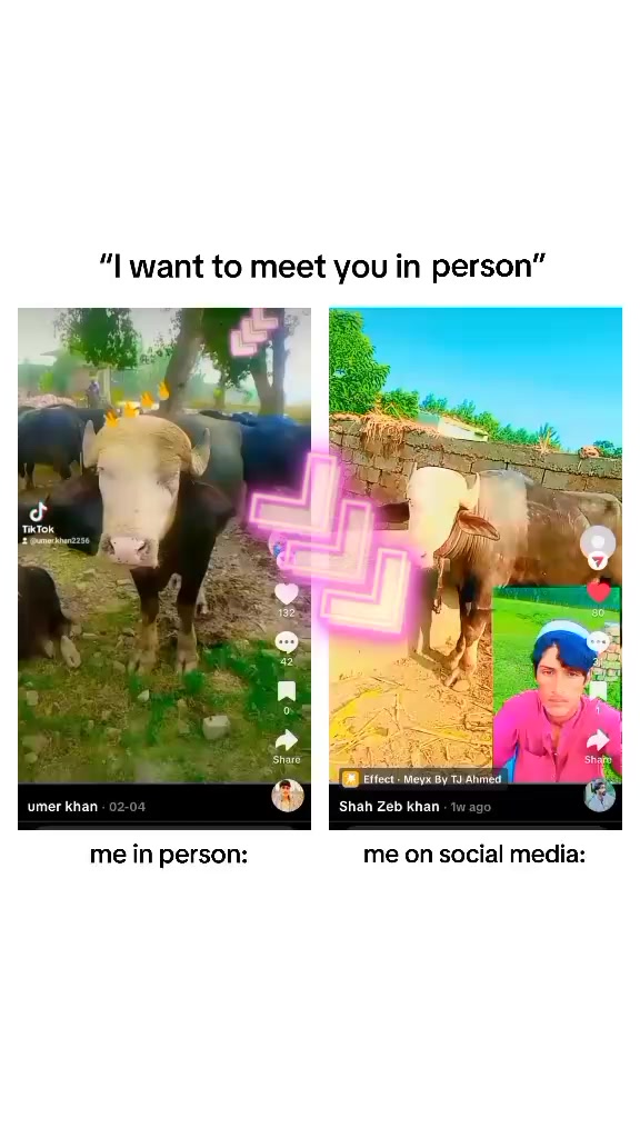 @Umarjan