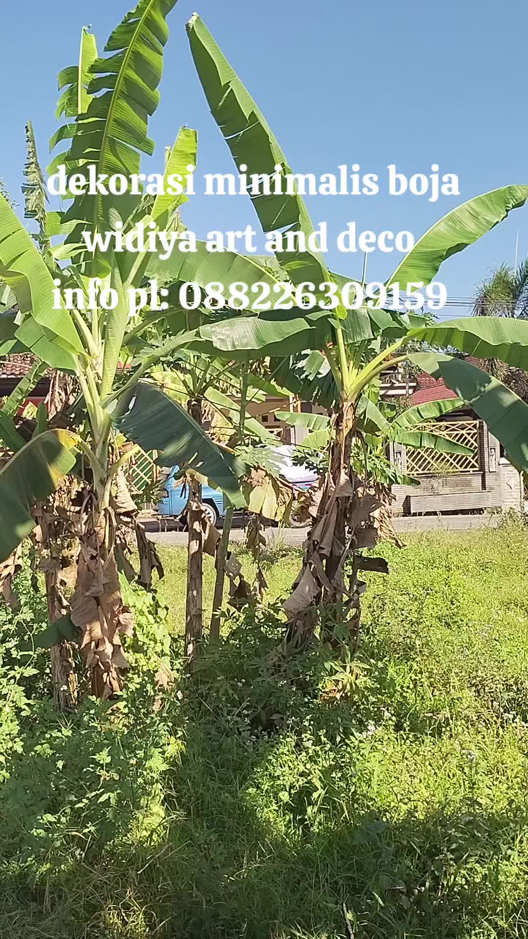 @widiya art and deco