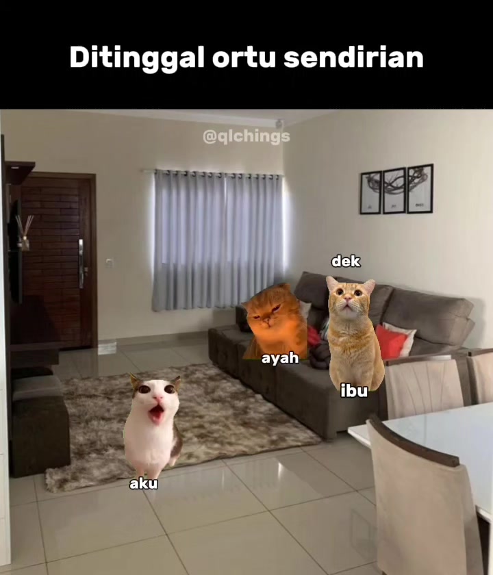 @qlchings