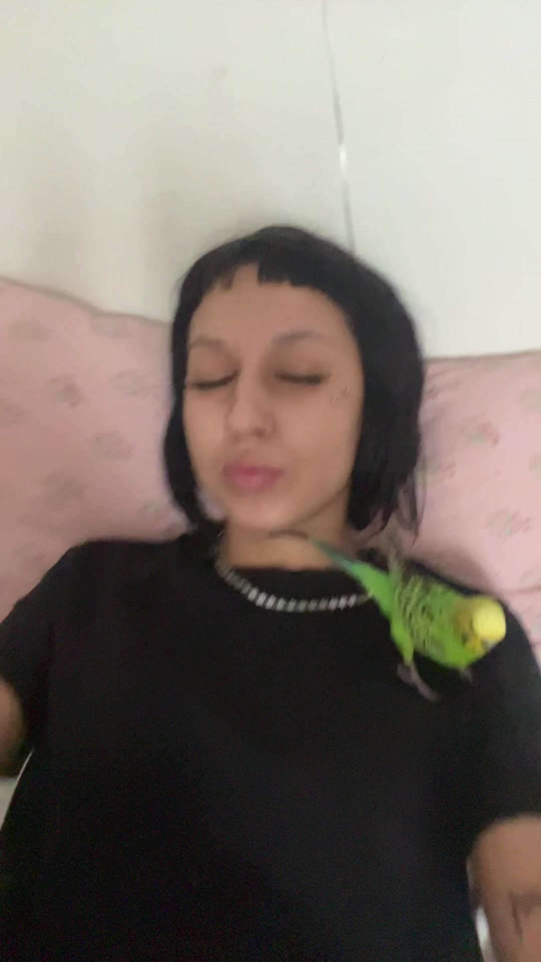 @şaklaban