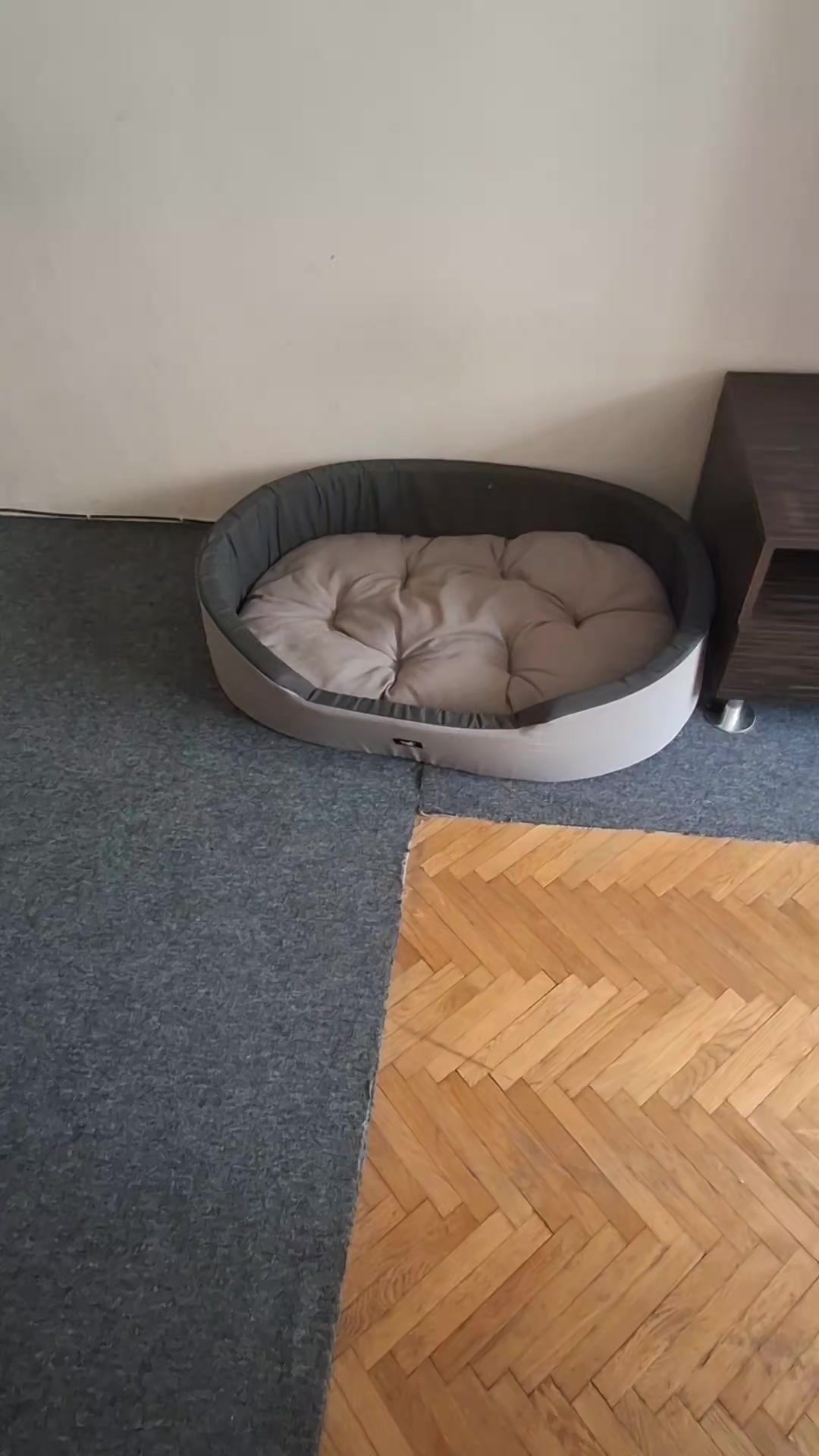 @МАТЬ ДРАКОНІВ🤣