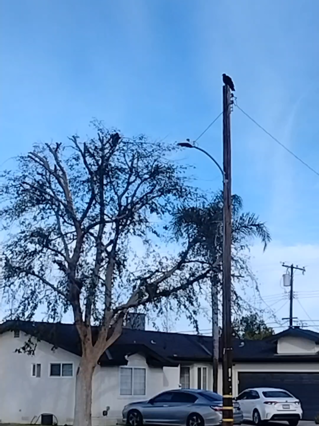 @Jorge Martinez