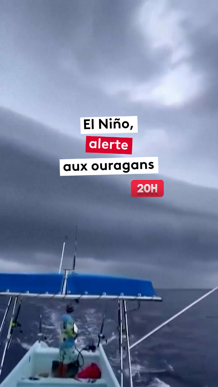 @le20hfrancetelevisions