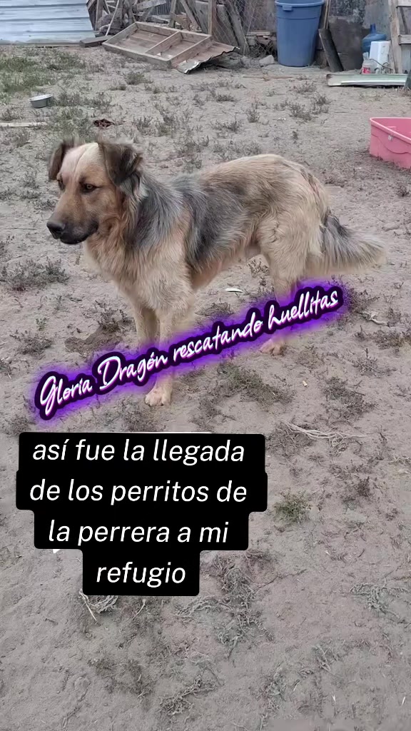 @Gloria Arellano Ramirez