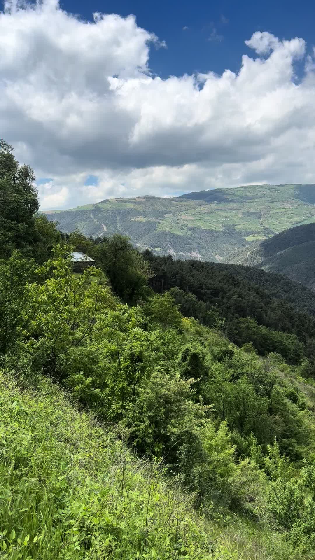 @&Ouml;mer