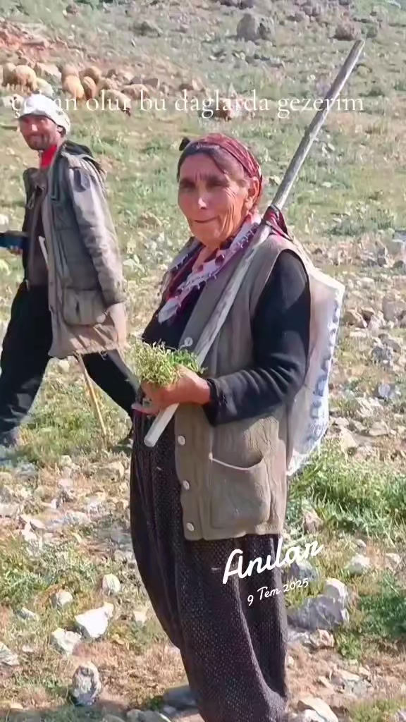 @DAĞCI.46
