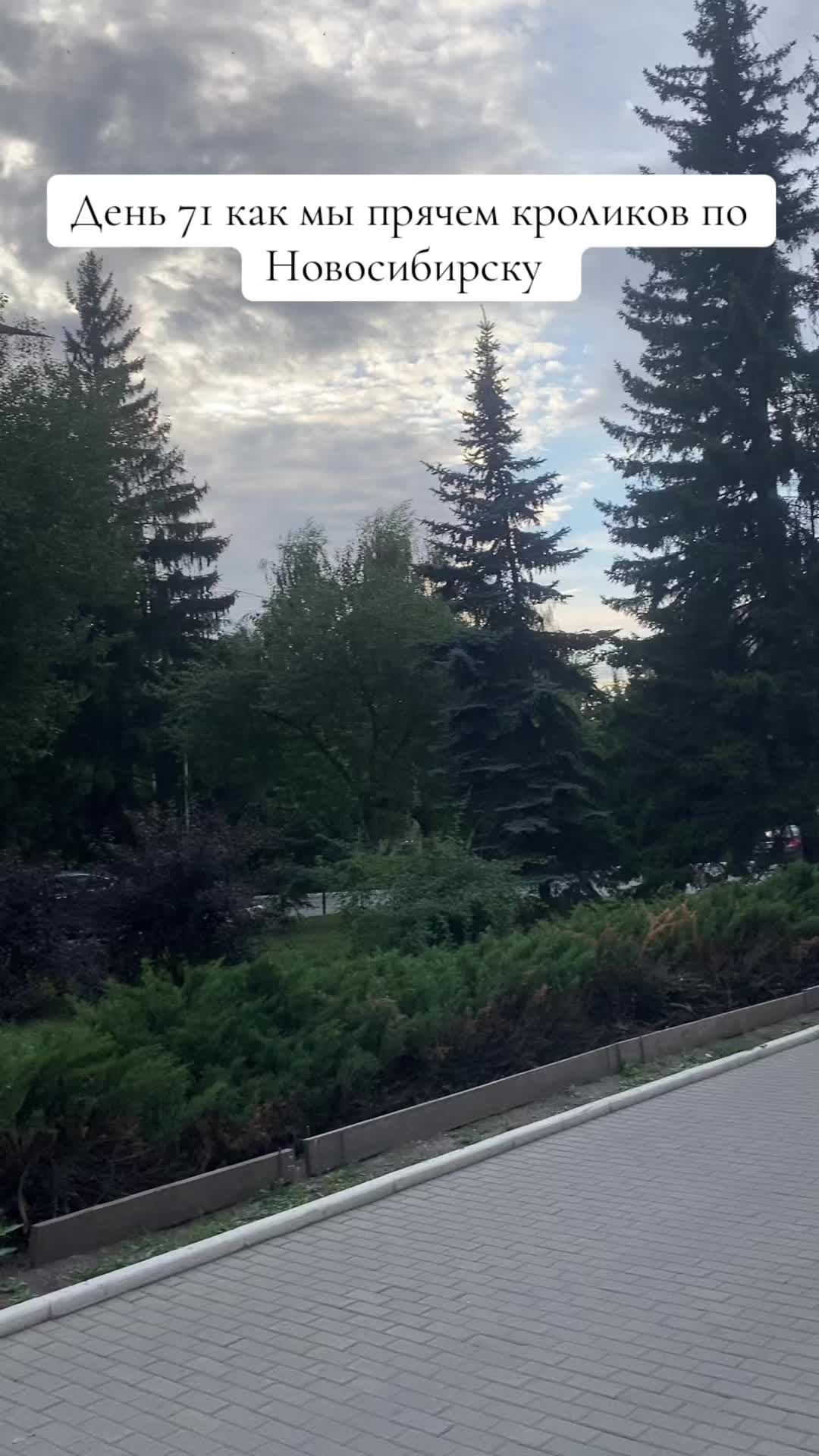 @Кролики