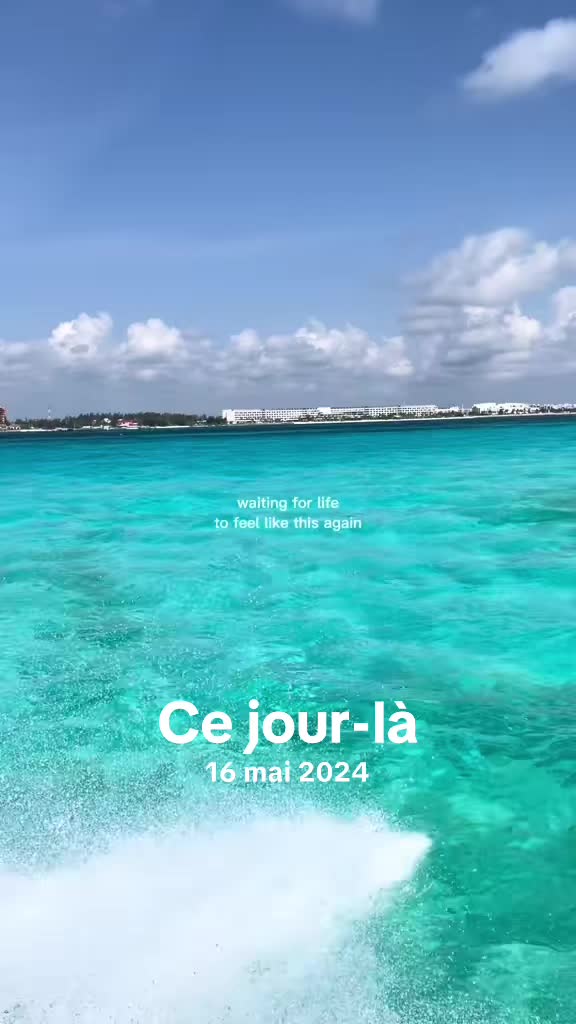 @Violette 🦋💜
