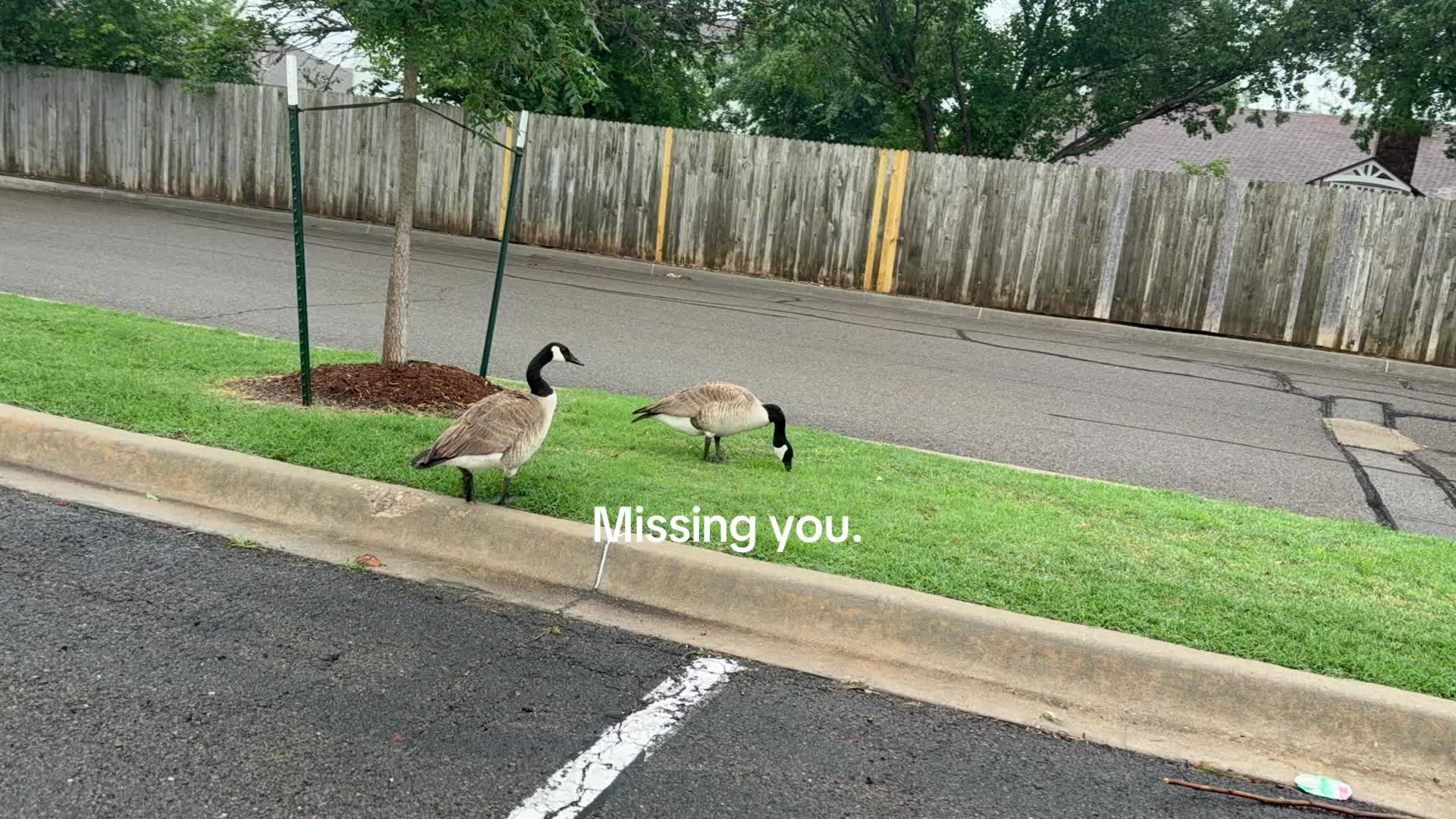 @tyforbeingu