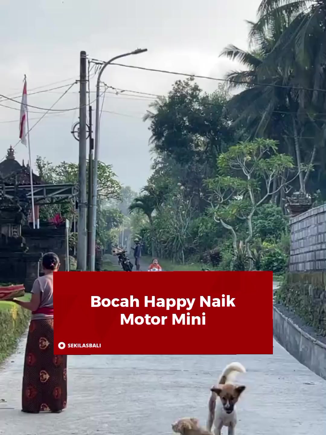 @Sekilas Bali