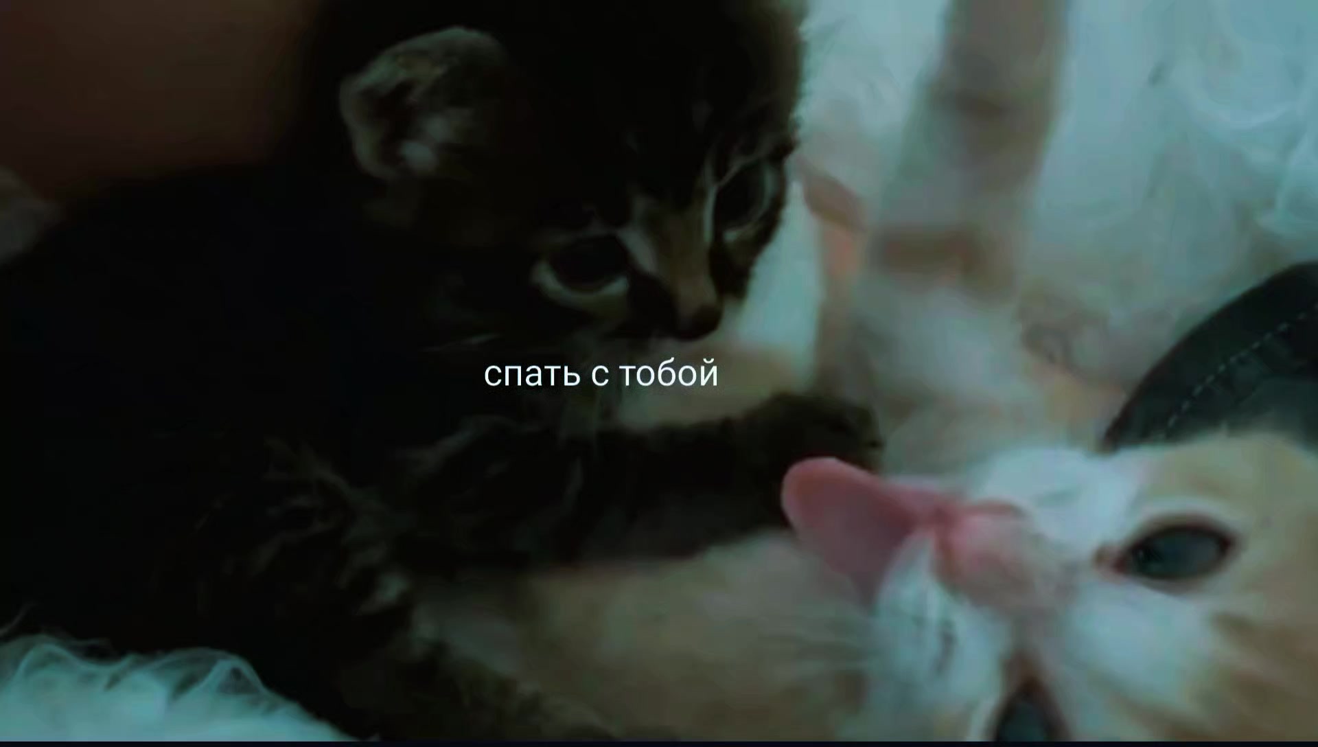 @ядрена вощь