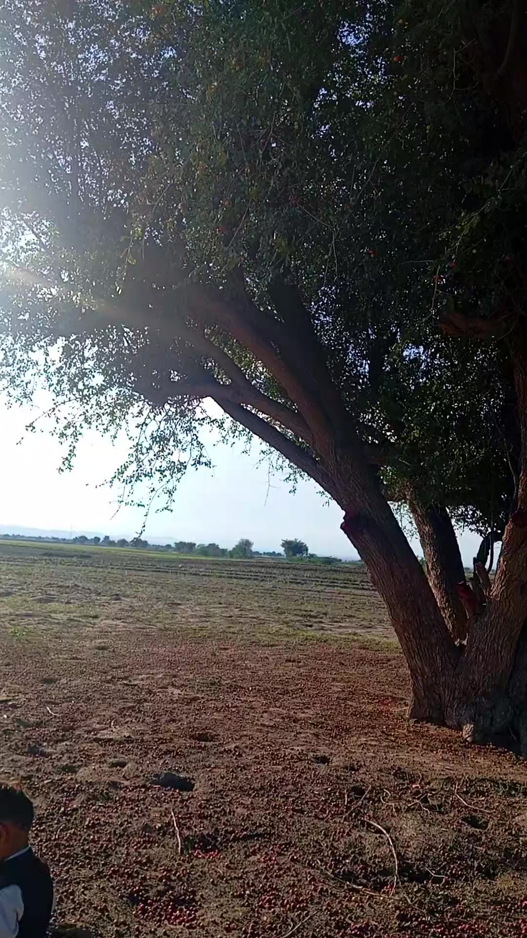 @FM...khan081