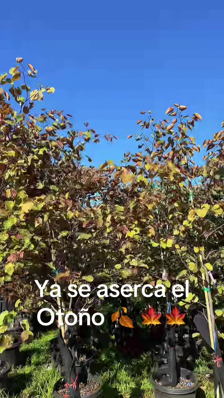 @Uri🇲🇽🇲🇽🌵❤️