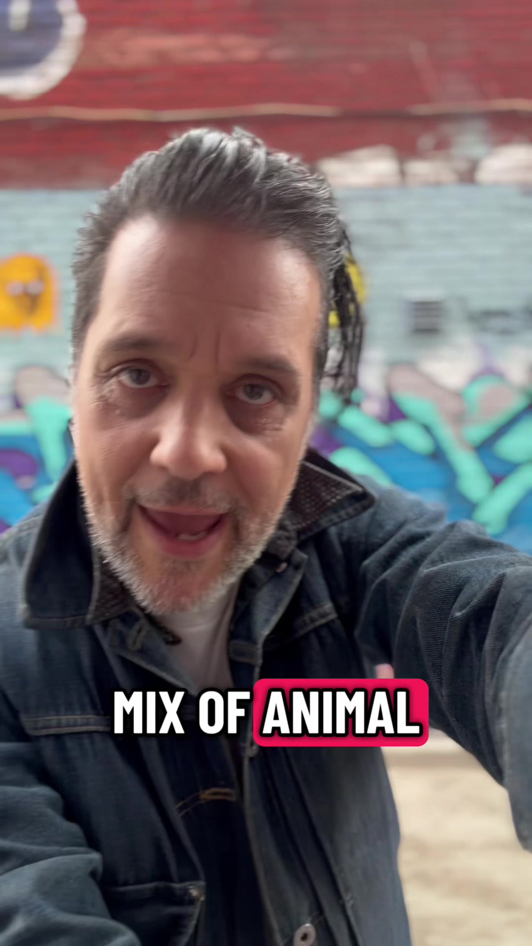 @George Stroumboulopoulos