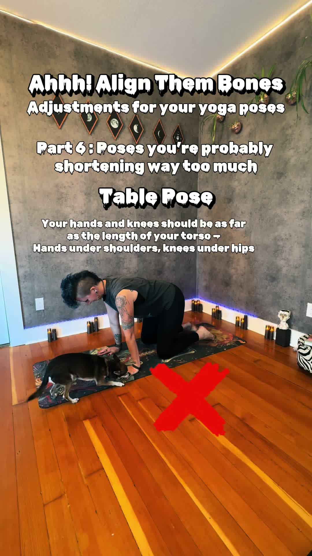 @April Fox - Yoga Kinda Rocks