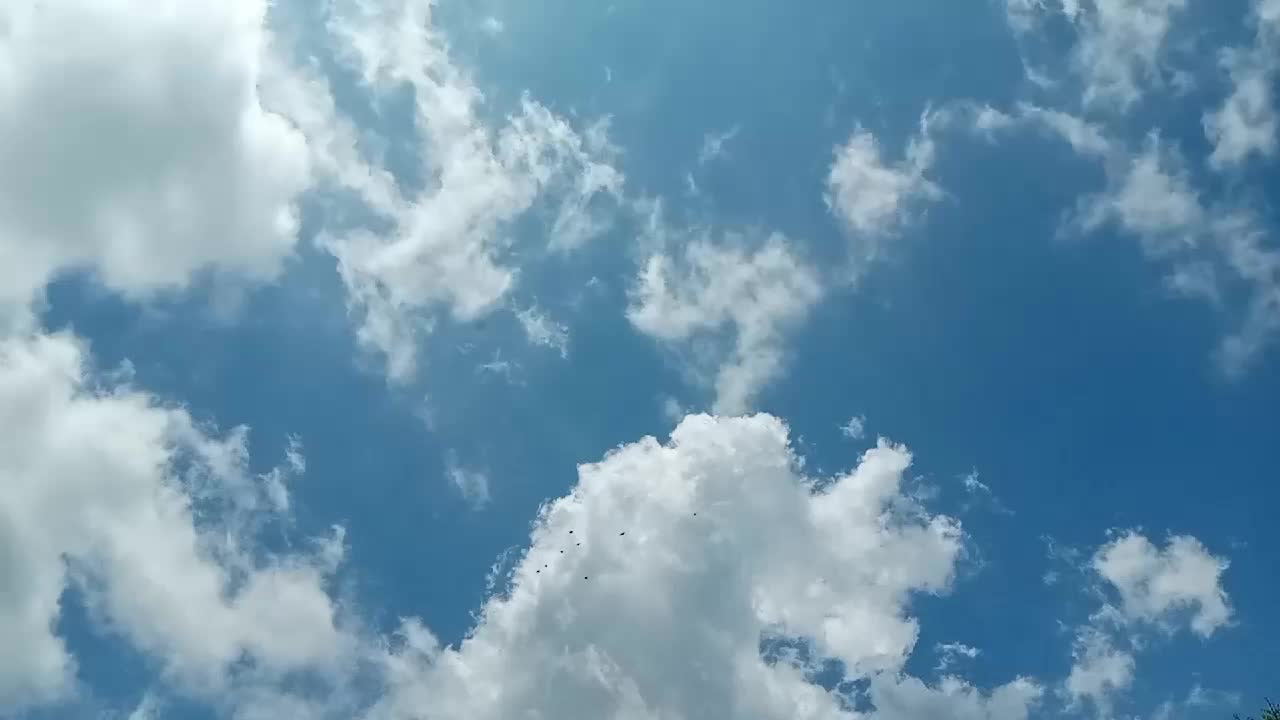 @VIHAGA 💋🗣️🚭