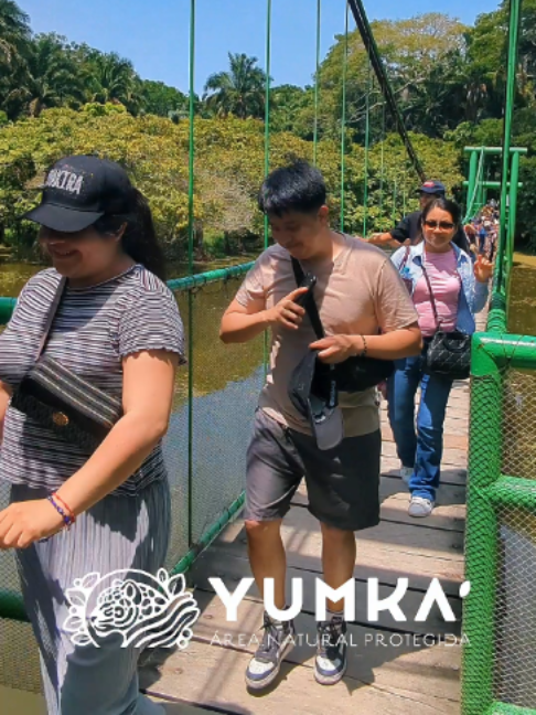 @YUMKA ANP
