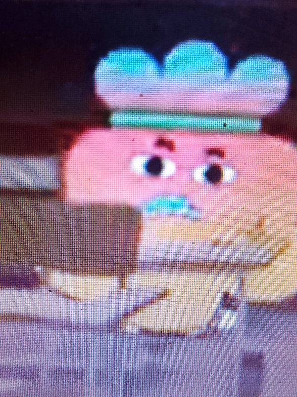 @finn