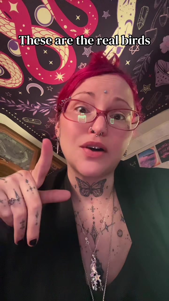 @thewhimsigoth