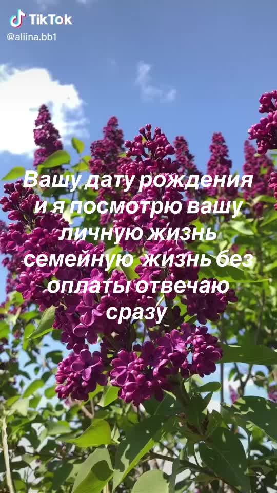 @ясновидящая бабушка Рая