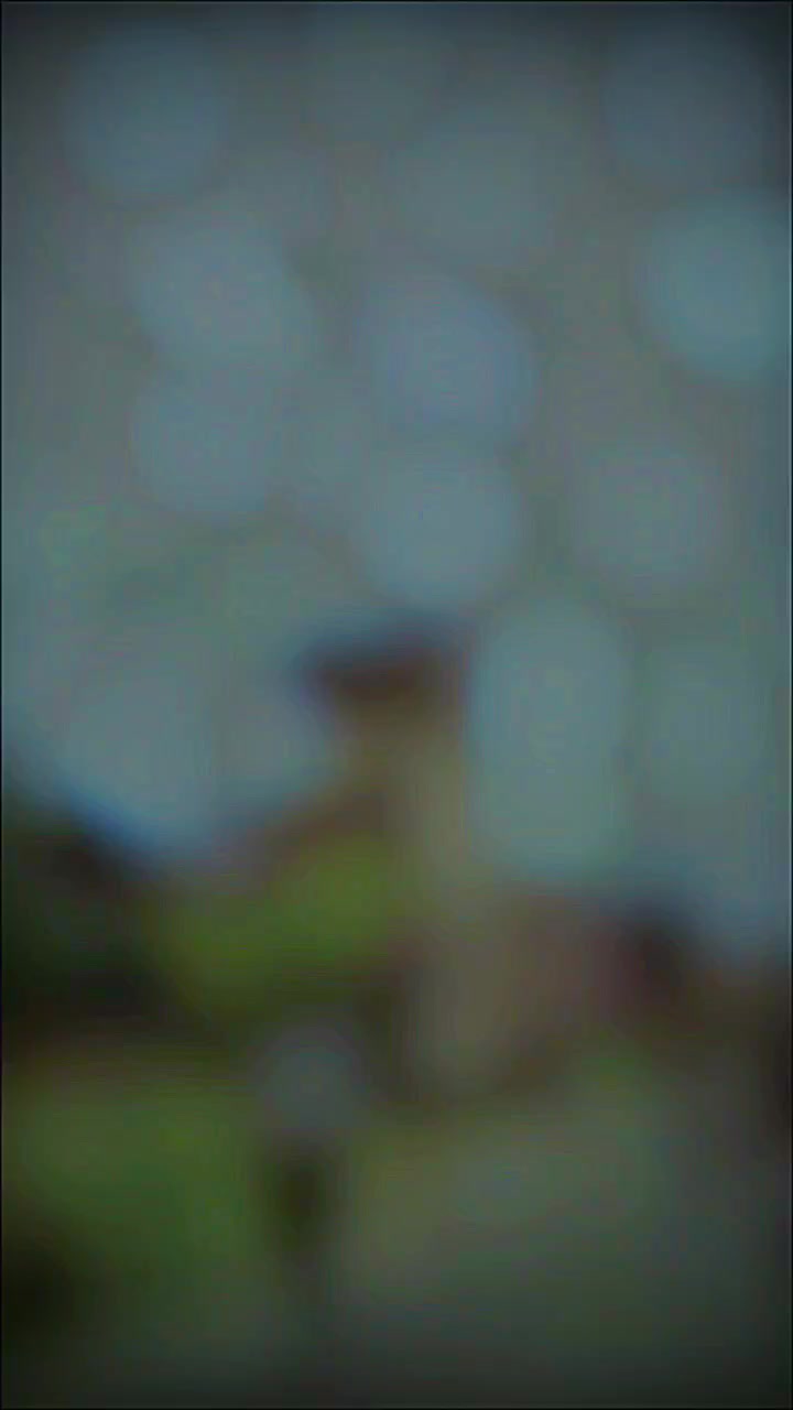 @Amansoni6979