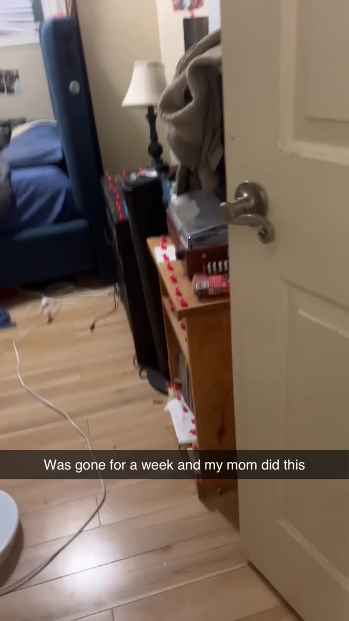 @noamipt1