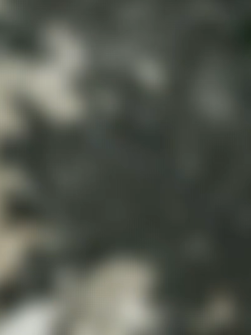 @Neskkii