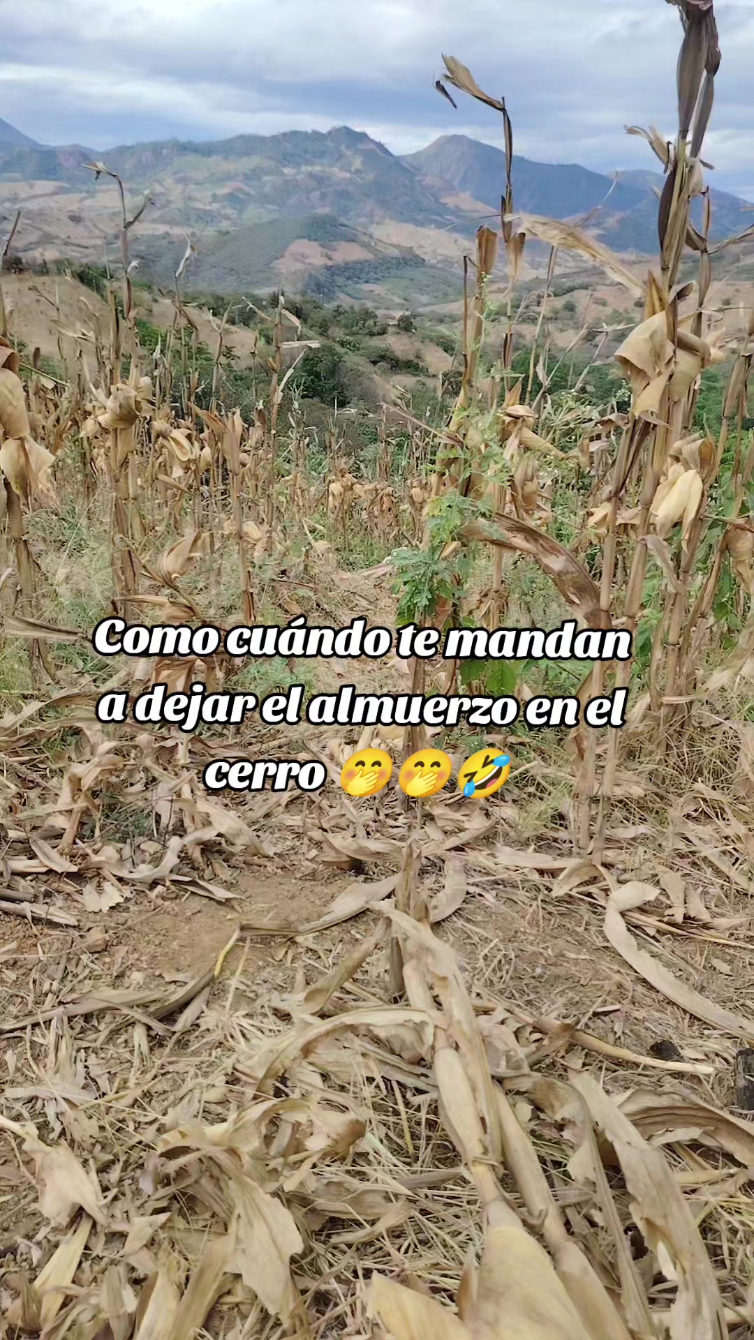@Yuly Maldonado🍀♥️