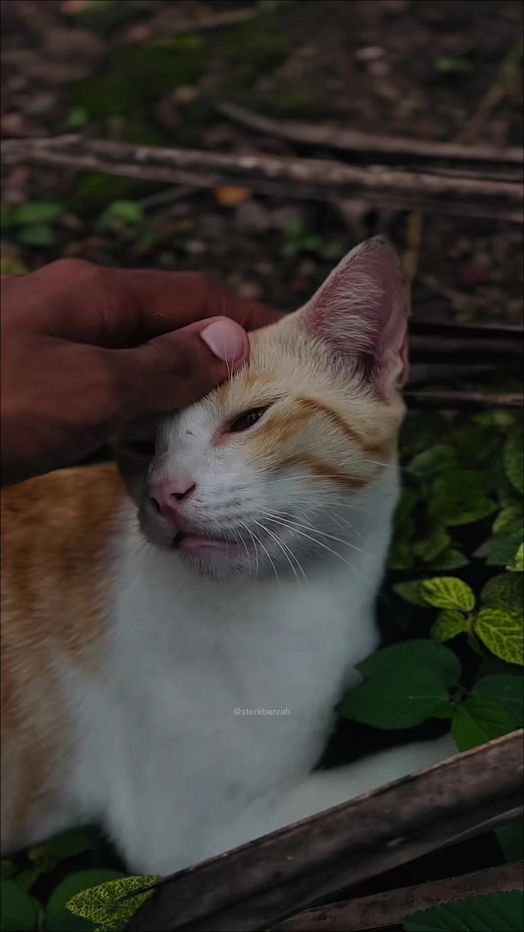 @๐๐ผ_๐ฅ๐ฒ๐ญ๐ธ๐ ๐