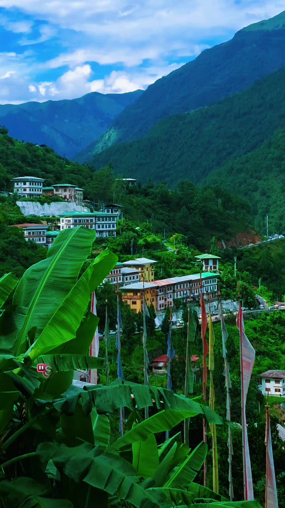 @C_Dema🇧🇹