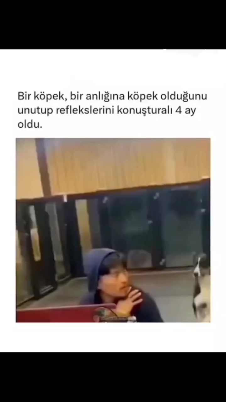 @&Ouml;zen Ce