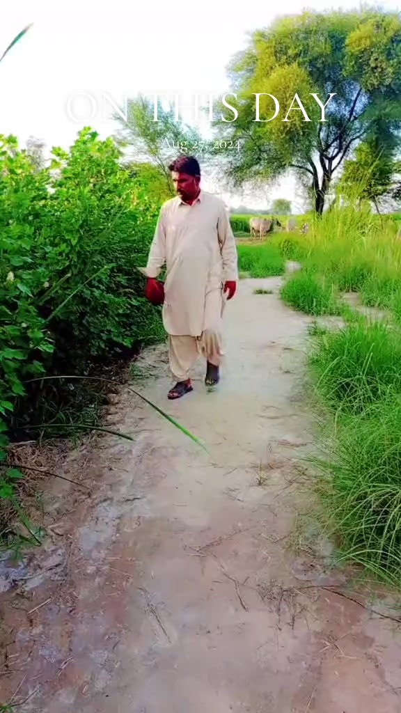 @ڏاڏوGulzar ali rajper