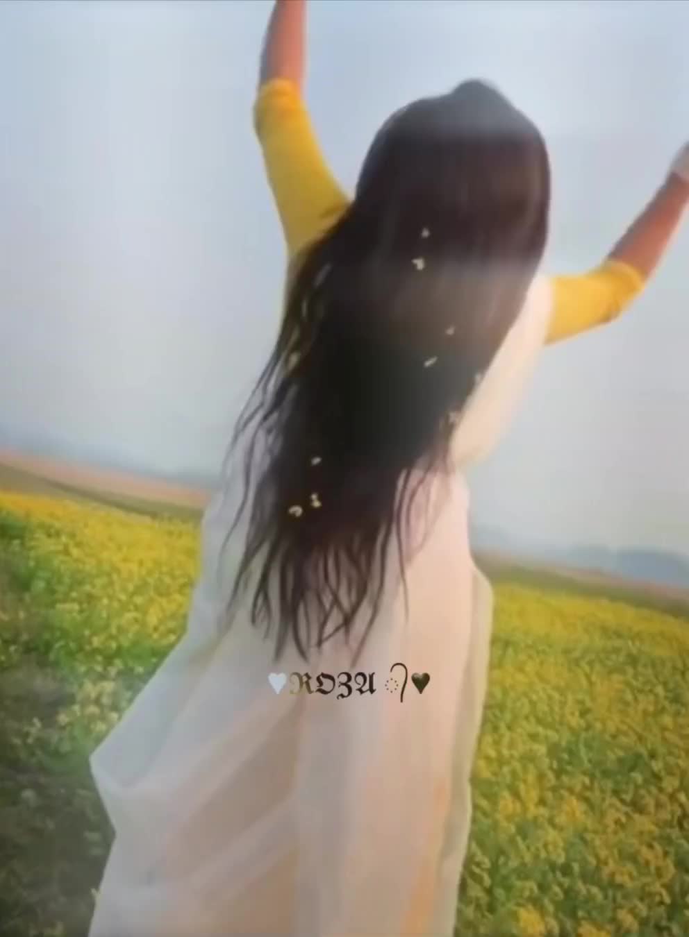 @༆ ٭ᒚ𝖊&sigma;ᥒ 𝕽🅞𝑍𝖠✾٭᭄༆
