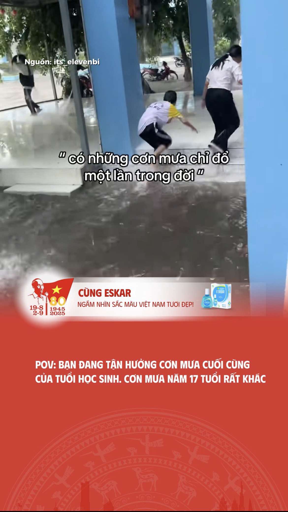@Sắc M&agrave;u Việt Nam