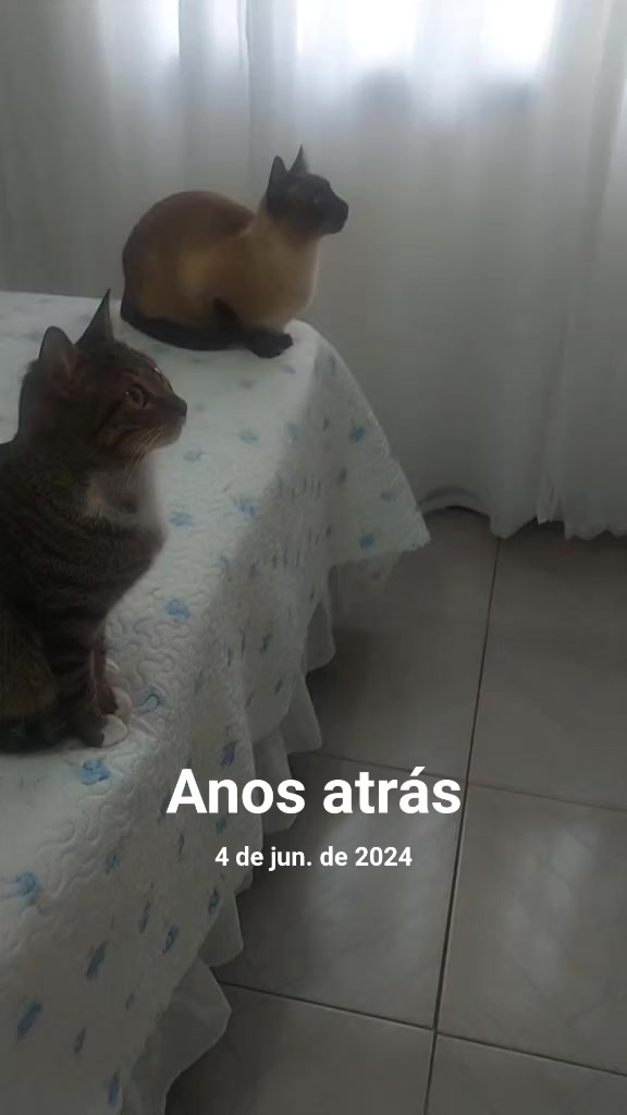 @Luci