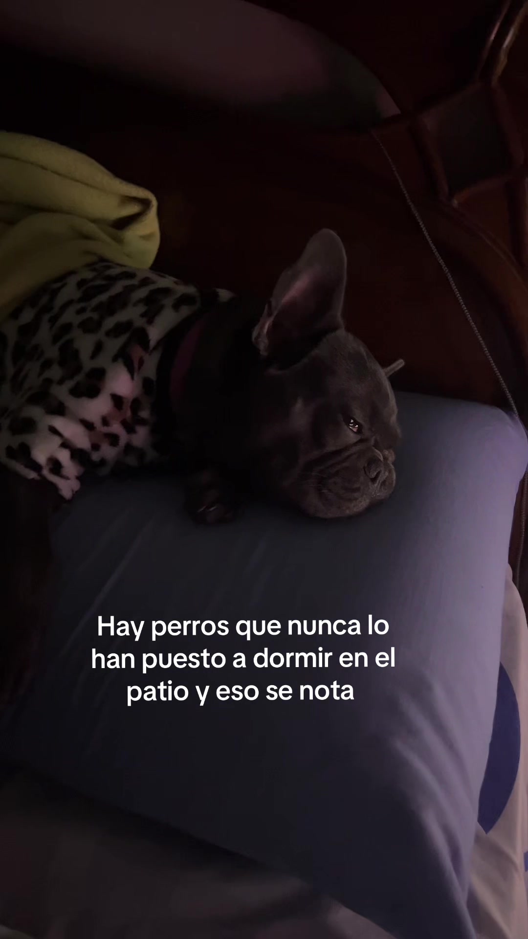 @Roxana