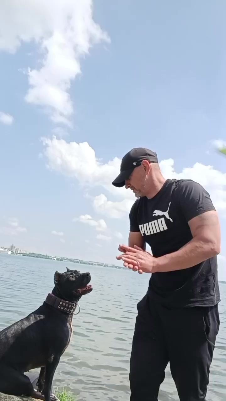 @Роман