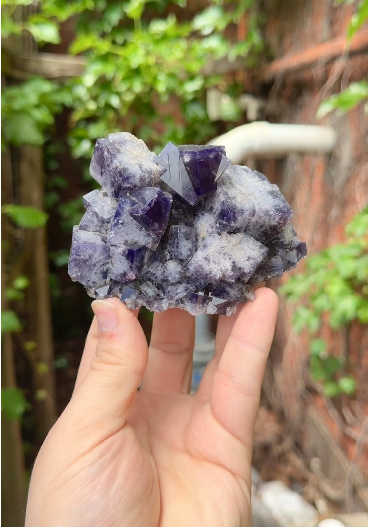 @Minerals by Blake