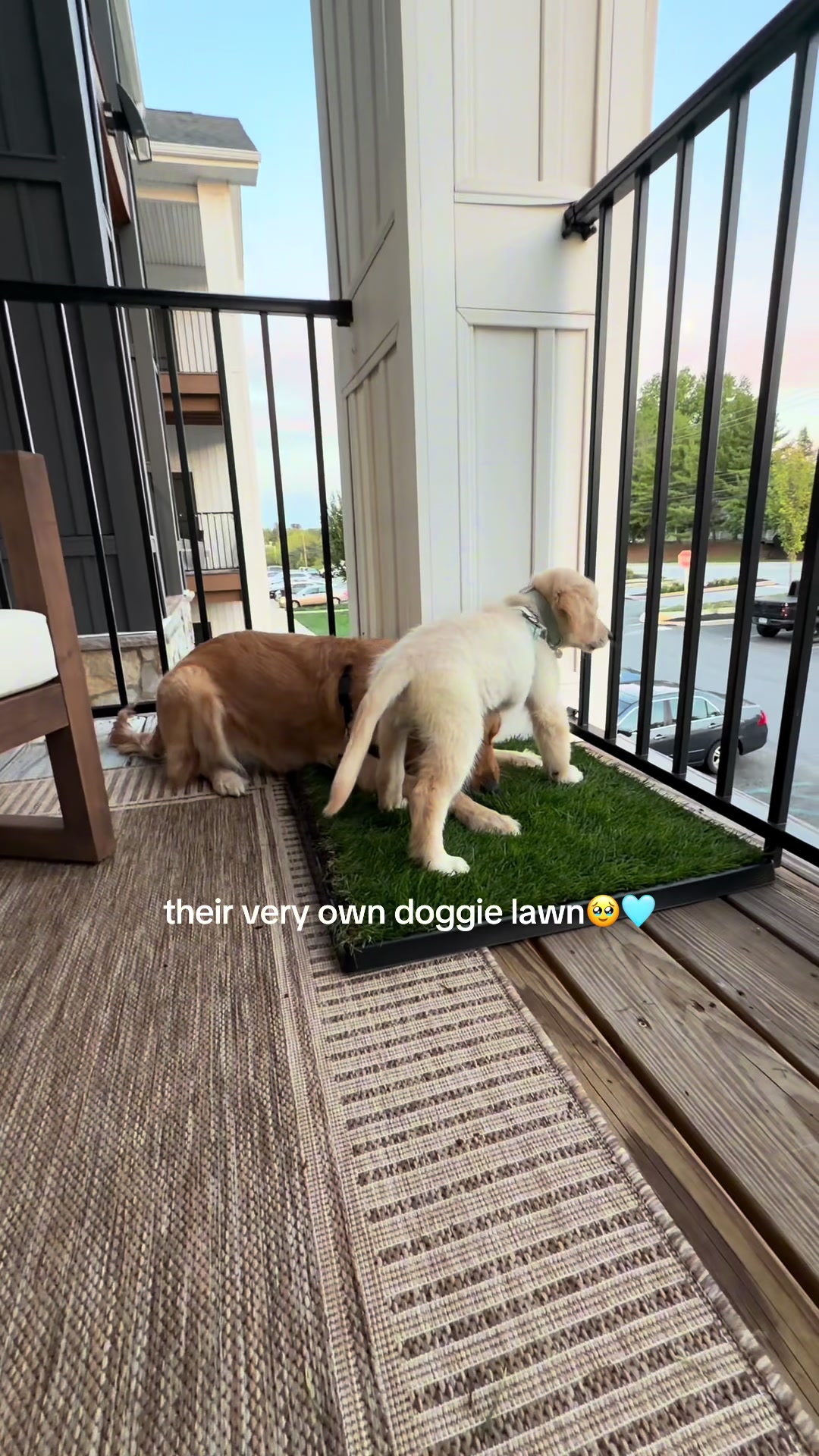 @Jordyn