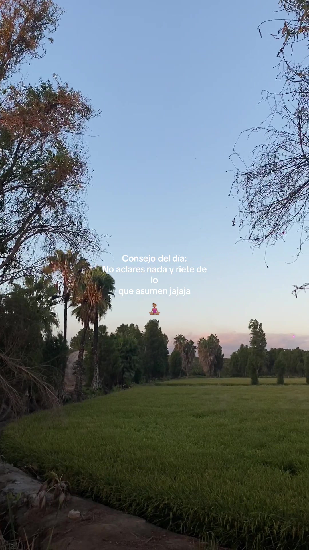 @vanne fernández
