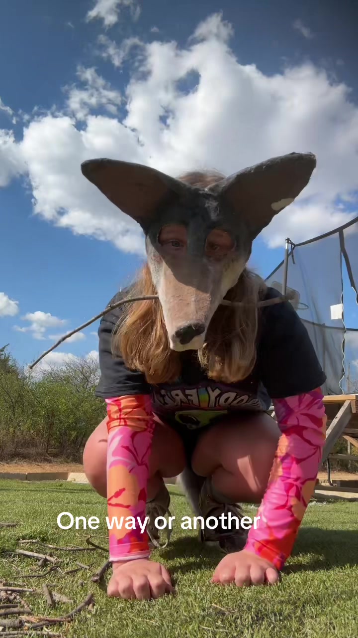 @𖦹☾𝓒𝓪𝓽𝓷𝓪𝓹☽𖦹